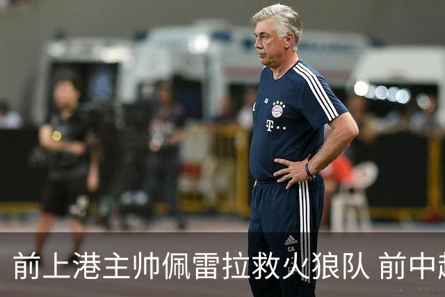 前上港主帅佩雷拉救火狼队 前中超教练第四次登陆英超
