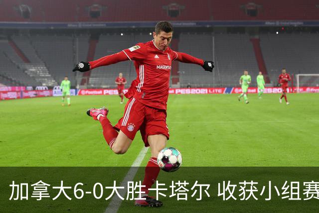 加拿大6-0大胜卡塔尔 收获小组赛首胜