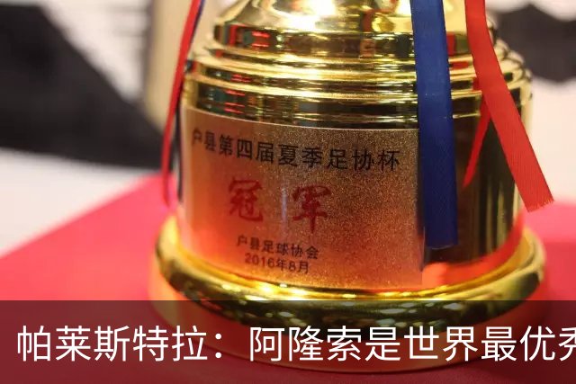 帕莱斯特拉：阿隆索是世界最优秀主帅之一，由他执教对我意义重大